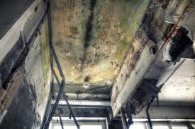 Mold Remediation for Rental Properties in Logan, OH